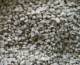 Kenya AA Top Raw Arabica Coffee Beans